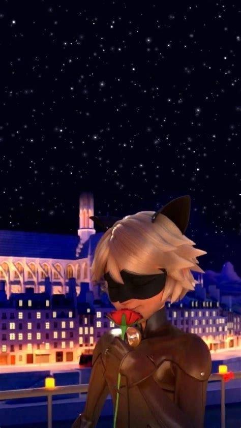 cat noir wallpaper wallpaper sun