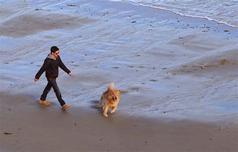 joes retirement blog walking  dog manomet beach manomet