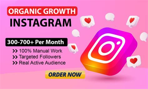 Targeted Super Fast Organic Instagram Growth By Alamghir21 Fiverr