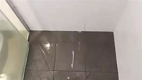 Alberna S Porn Videos And Reels Nude Photos And Bio On Xhamster