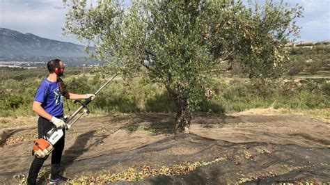 El Viaje De Oliveres De Ser Ingeniero En Ford Valencia A Producir