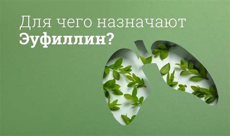 Эуфиллин инструкция по применению, цена: Рецепт, аналоги, от чего помогает