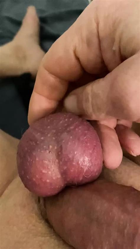 Mit Kastrierten Sack German Solo Female Masturbation Porn XHamster