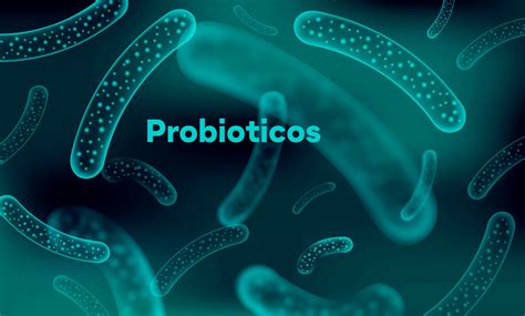 Los Probi Ticos Y La Microbiota Intestinal Floratil Mx