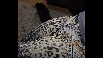 Entiada Videos XVIDEOS