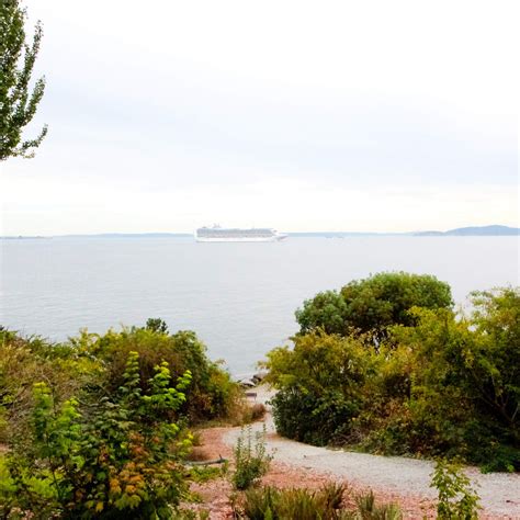 Seattle's Secret: What Rubmaps Seattle Doesn't Want You To See Image 1