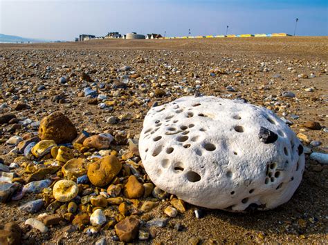 Big size image jpg free stock photos download (105,586 Free stock ...