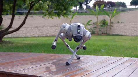 Unitree Go2 Air Quadruped Robot: Buy or Lease at Top3DShop