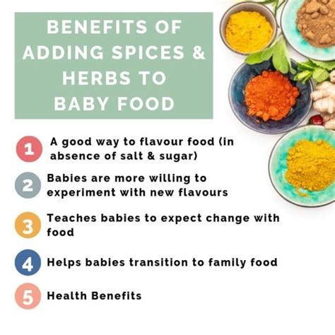 Adding Spices And Herbs To Baby Food Healthy Little Foodies