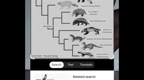 Smell Search Xvideos