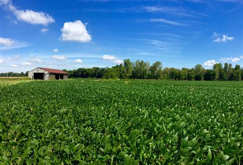 1,140 acres in Knox County, Indiana