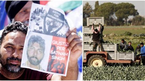 Scandalo Nel Settore Agricolo Italiano Irregolarit E Tragedia Di