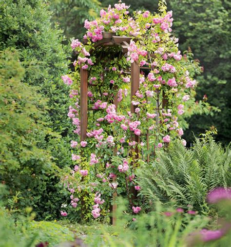 Pergola Ipomee Droite L X P X H Cm Jardipolys