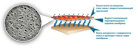 Что такое мембранная ткань?
