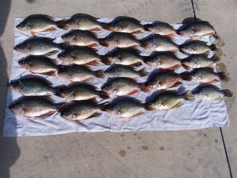 20171122_105550 – Lake Okeechobee Bass Fishing - Fishing Guides