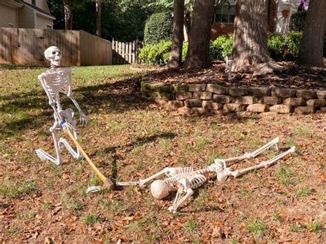 Super Creative Skeleton Displays for Halloween! (repost) | Halloween ...