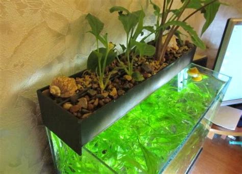 Фитофильтр для аквариума