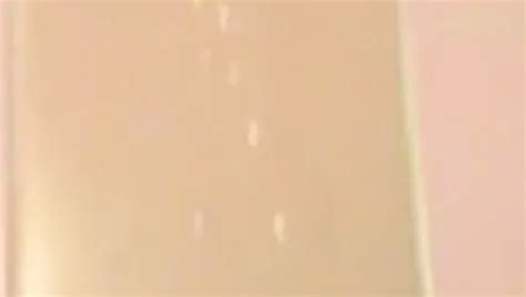 Cumshot Gay Porn Videos 2629 XHamster