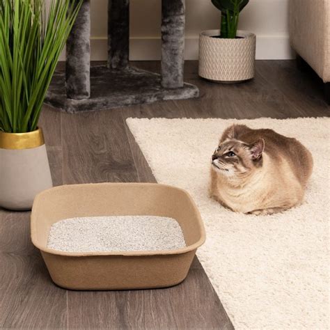 Kitty Sift Disposable Cat Litter Box 6 Count Jumbo