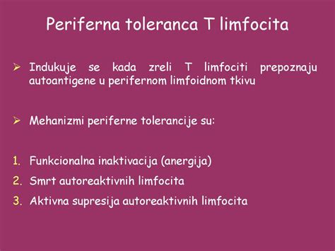 Imunološka tolerancija i autoimunost ppt скинути