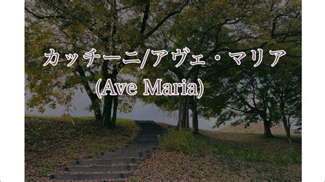 ピアノ カッチーニのアヴェマリアAve Maria YouTube