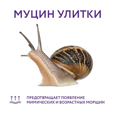 Муцин улитки
