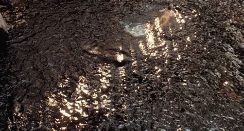 Naked Nicole Kidman In Billy Bathgate