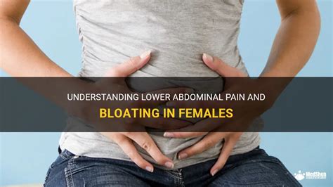 Understanding Lower Abdominal Pain And Bloating In Females | MedShun
