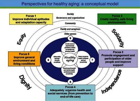 Healthy Aging Conceptual Model By Cardinal And Collaborators 68