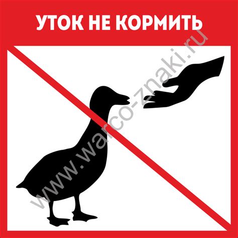 Предупреждающая табличка для пляжа «Уток не кормить» артикул VA 13-4 ...