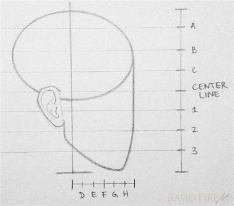 How To Draw A Face From The Side 10 Steps Rapidfireart In 2022