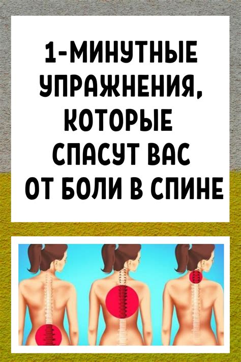 Эффективные упражнения при болях в спине и пояснице