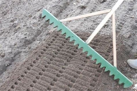 Сеялка для моркови своими руками с фото и описанием