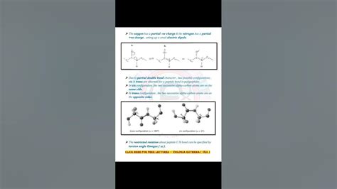 Peptide Bond formation, Structure, resonance & torsion angles complete ...