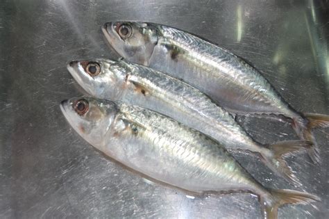My Story Resepi Ikan Kembung Sumbat Sambal Belacan