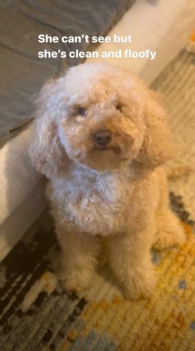 January Jones Puts Cleavage On Display As She Flaunts Her Body In A Teeny Bikini As She