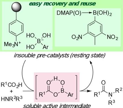 Design Of Boronic AcidBase Complexes As Reusable Homogeneous Catalysts