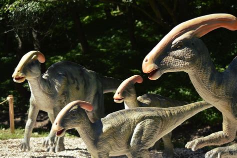 Dinosaurier Dino Dinopark Kostenloses Foto Auf Pixabay