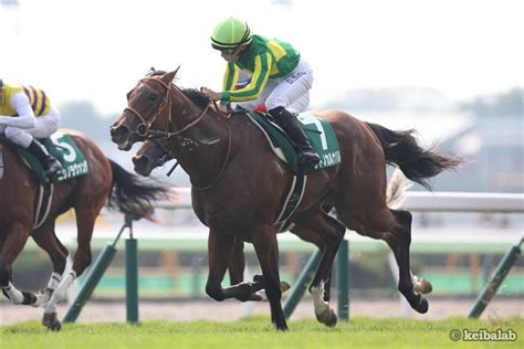 【函館2歳s】北の地で掴んだ一番星！佐々木騎手＆サトノカルナバルが重賞初制覇 競馬ニュース 競馬ラボ