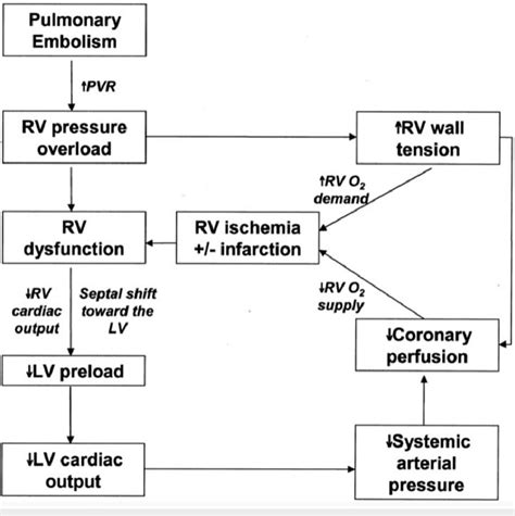 Pulmonary Embolism X Ray Google Search Chest Pathology