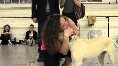 Legally Blonde The Musical YouTube