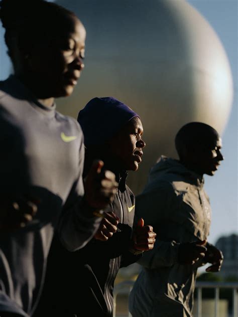 African elephant population face alarming decline, new study shows