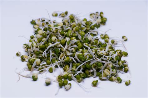 What Is The Nutritional Value Of Sprouted Moong Per 100g And Is Sprouted Moong Per 100g Healthy