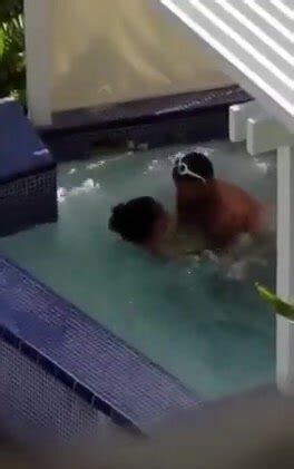 Flagra Neighbor Sucking Hot Girl S Pussy In The Pool Cnn Amador