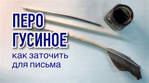 Как заточить гусиное перо для письма. Эксперимент 6 июня в Пушкинский ...