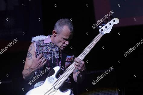 Bassist Flea Red Hot Chili Peppers Editorial Stock Photo Stock Image Shutterstock