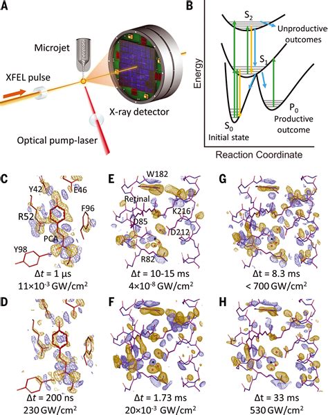 Advances And Challenges In Time Resolved Macromolecular Crystallography