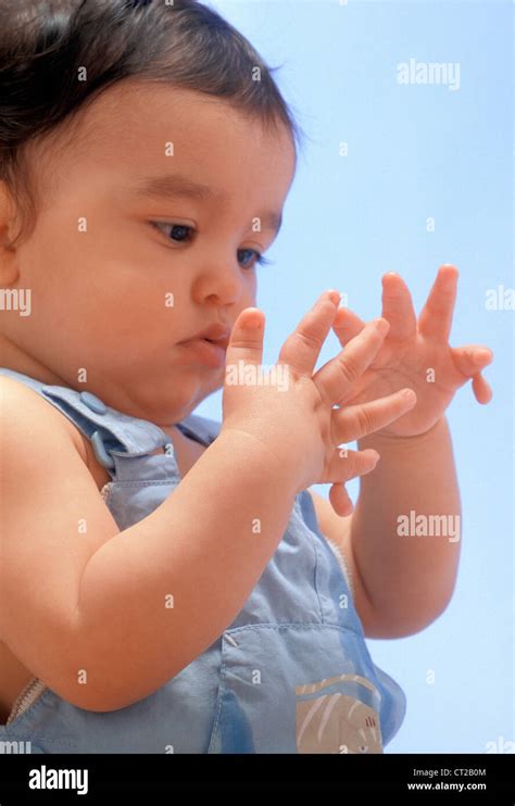 polydactyly  res stock photography  images alamy