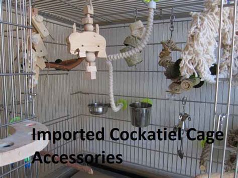 Cockatiel Cage Size Set Up For Breeding Pair & Accessories - PetsHoods