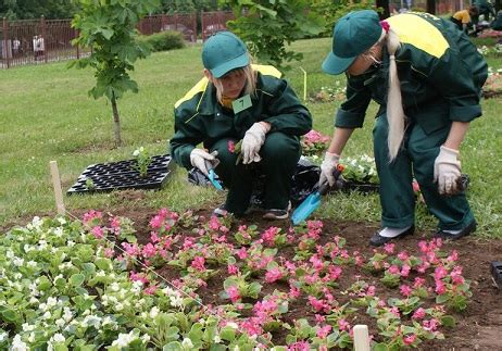 Рабочий зеленого хозяйства | ЭИОС ПГУПС
